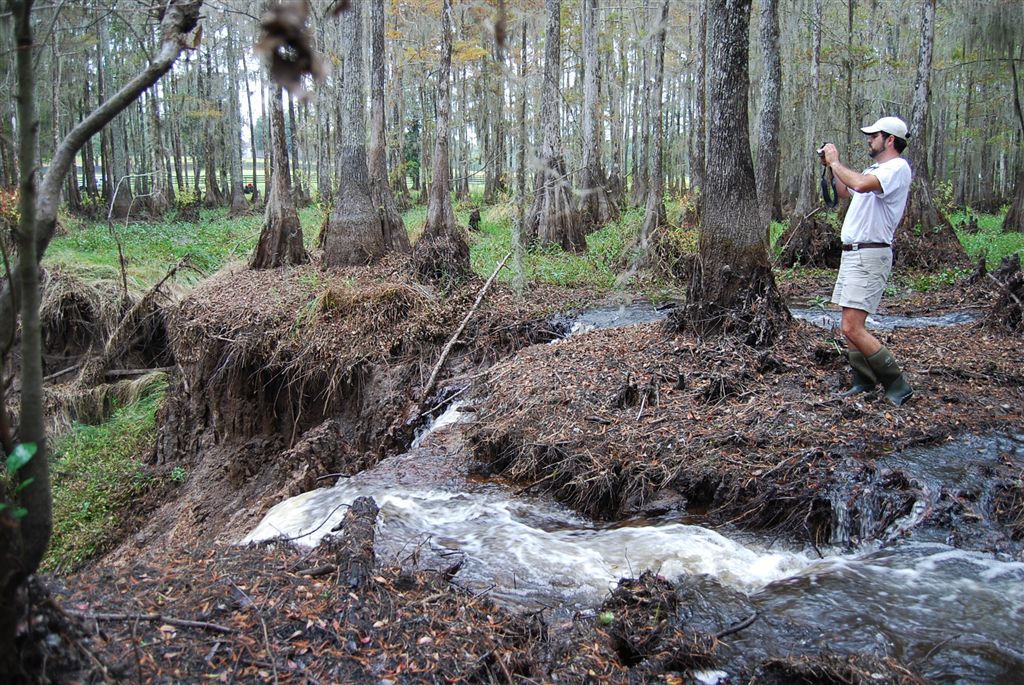 Sinkhole west view